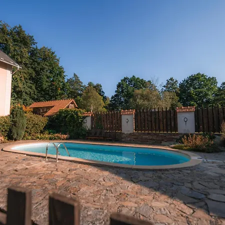 Mlyn Davidkov Otel *